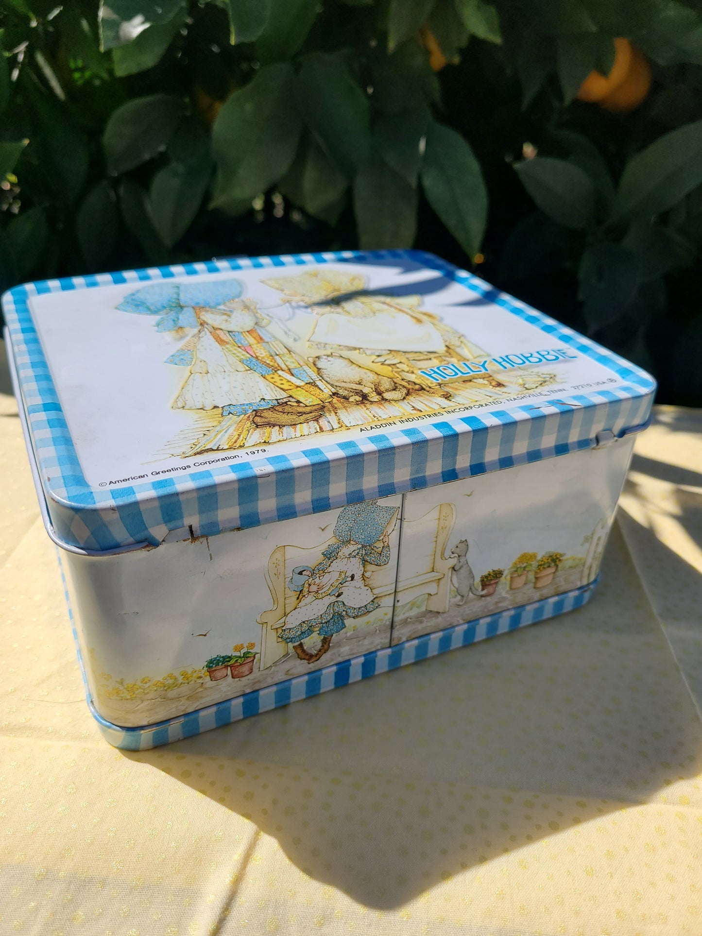 Vintage Holly Hobbie Metal Lunch Box with Straw Cup